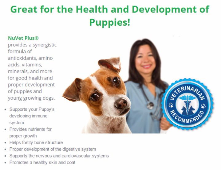 A veterinarian and a dog are pictured next to text promoting NuVet Plus supplements for puppy health and development.