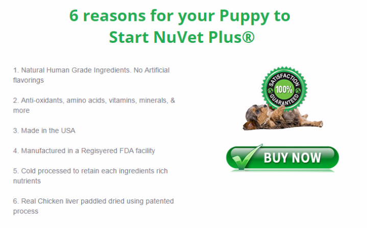 List of six reasons to start puppies on NuVet Plus, with a "Buy Now" button and satisfaction guarantee badge.