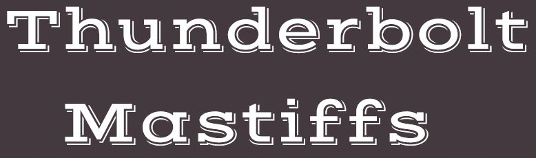 Thunderbolt Mastiffs Logo
